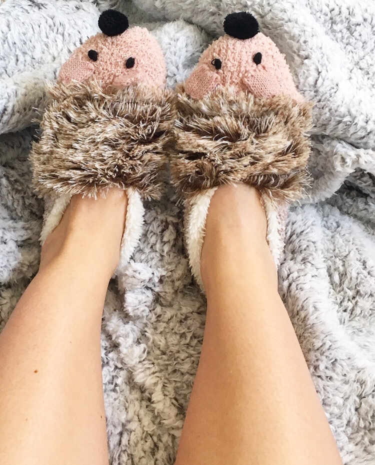 hedgehog slippers